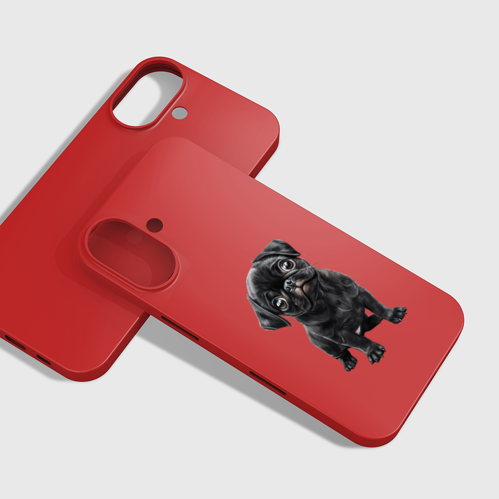 Innocent Black Pug Puppy 