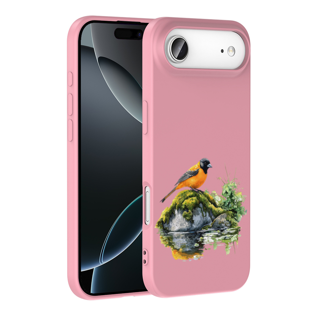 Orange Baltimore Oriole Bird İphone 17 Air Case