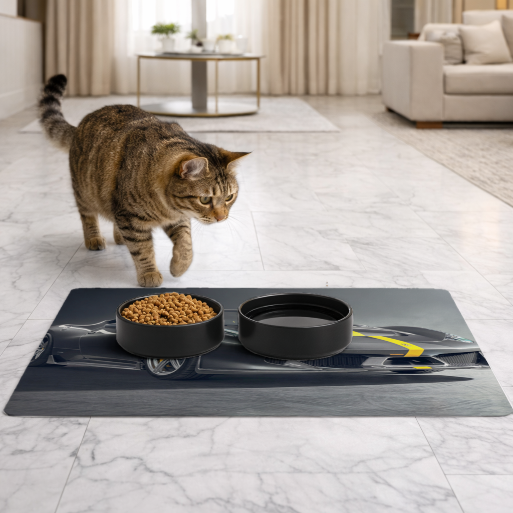 Ferrari 458 Italia Karbon Fiber Detaylı Özel Versiyon Evcil Hayvan Besleme Matı