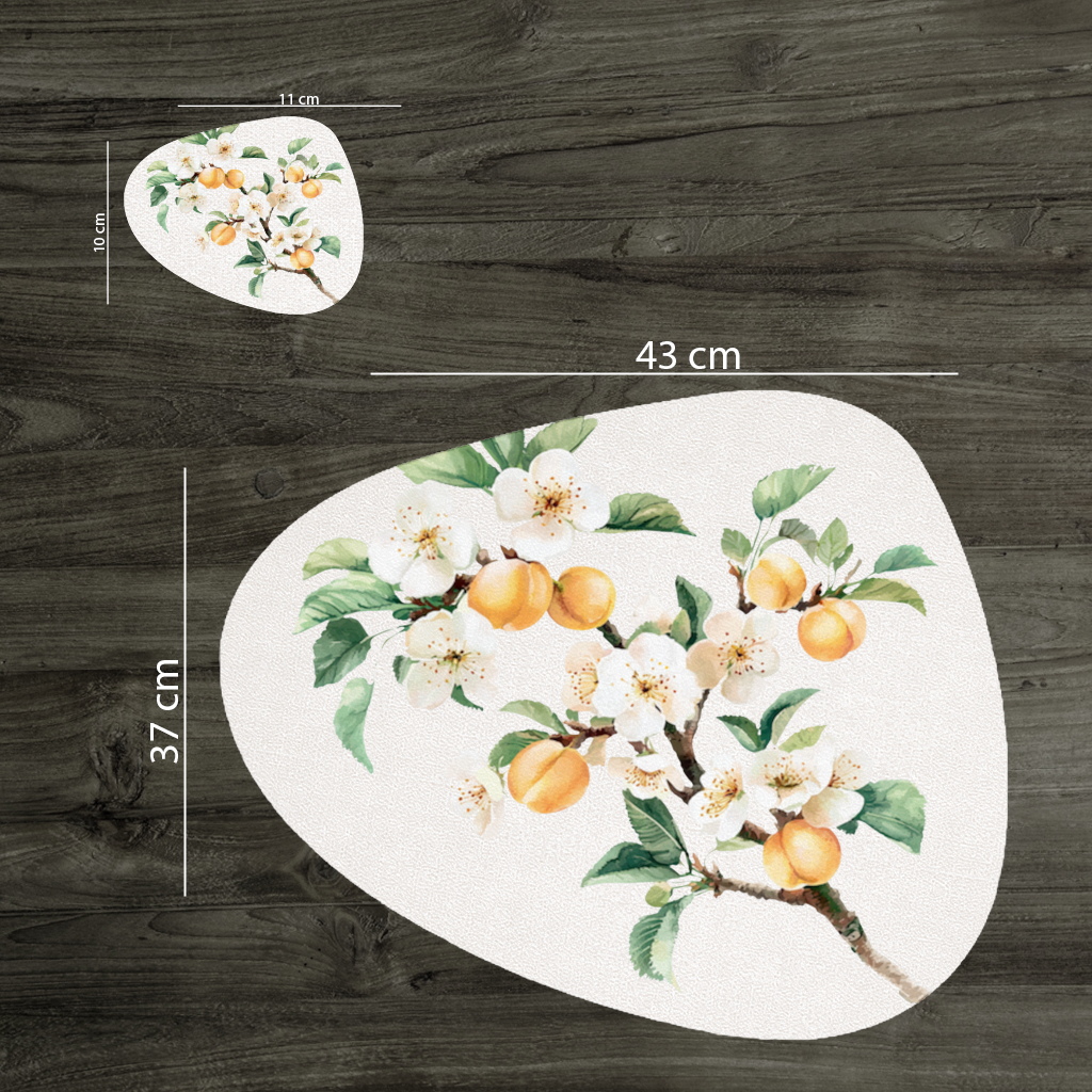Watercolor Apricot Blossom Branch Charger Plate Set 12 Pieces