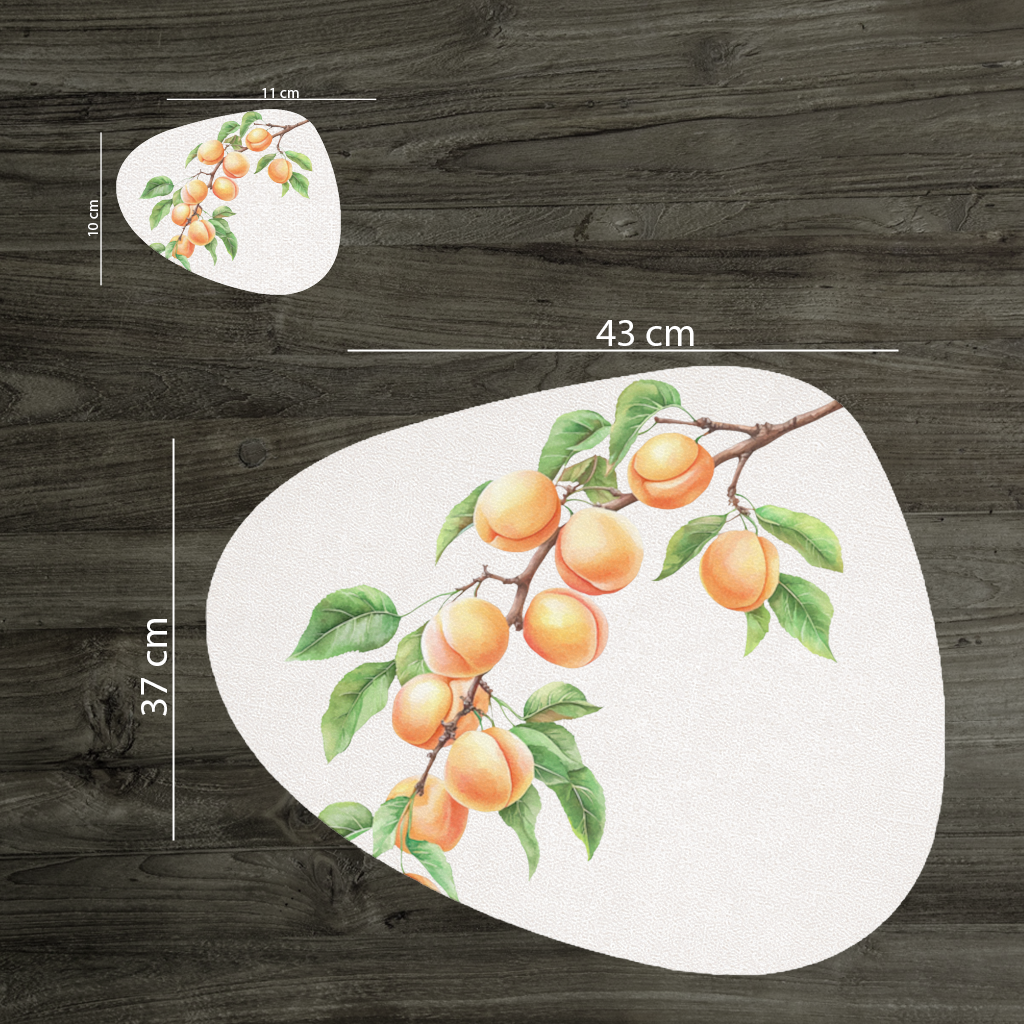Ripe Orange Apricot Fruit Branch Charger Plate Set  12 Pieces