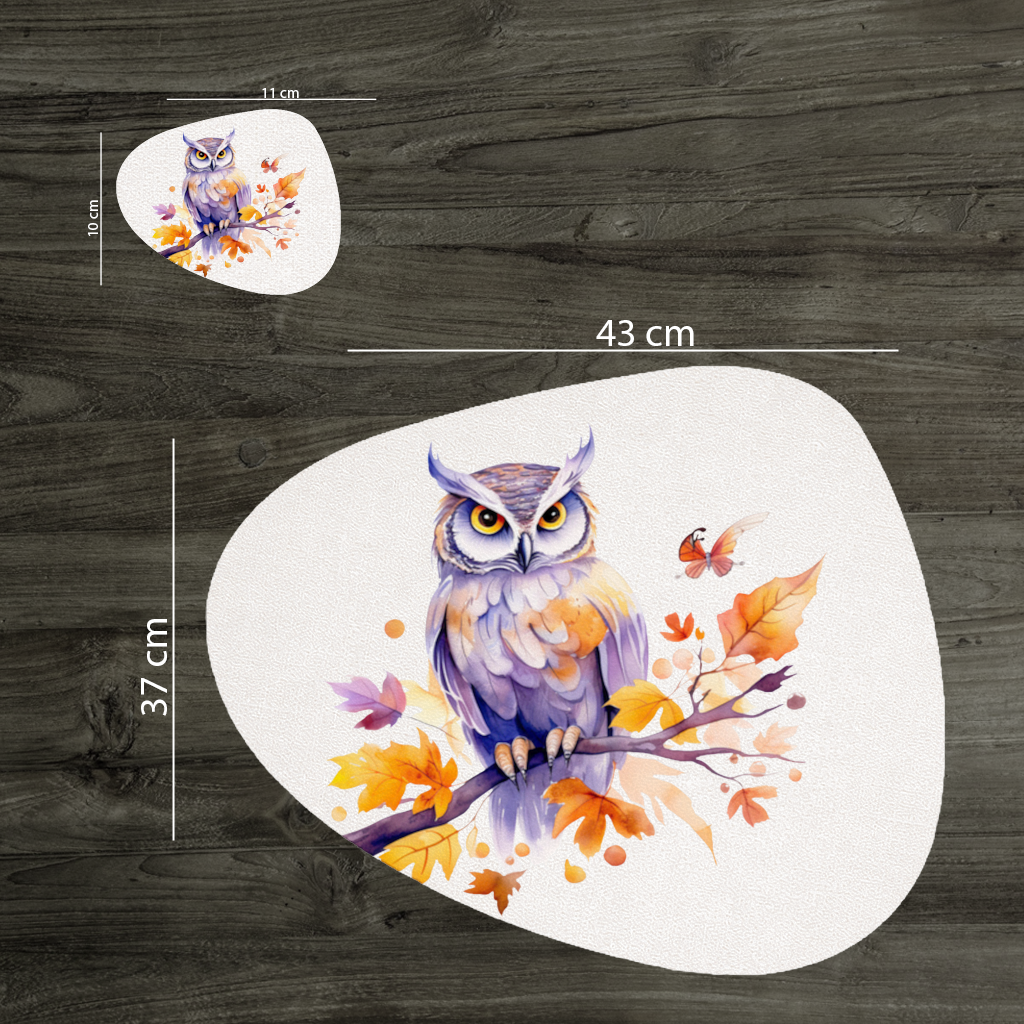 Whimsical Autumn Owl and Butterfly Charger Plate Set  12 Pieces