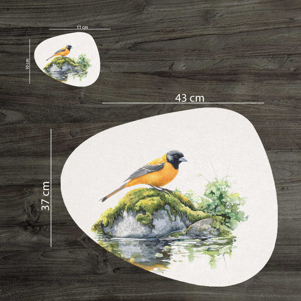 Orange Baltimore Oriole Bird 