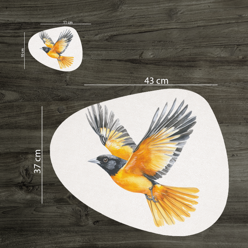 Watercolor Baltimore Oriole Charger Plate Set  12 Pieces