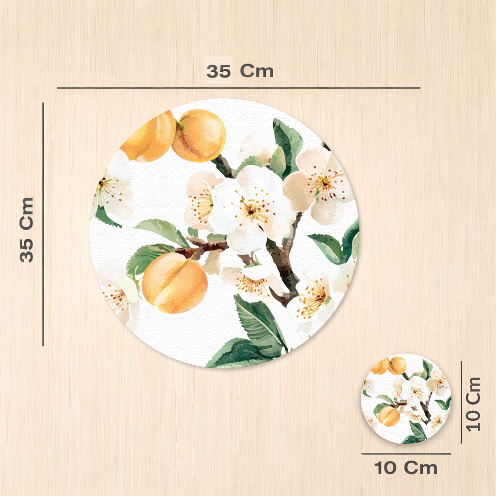 Watercolor Apricot Blossom Branch Charger Plate Set  12 Pieces
