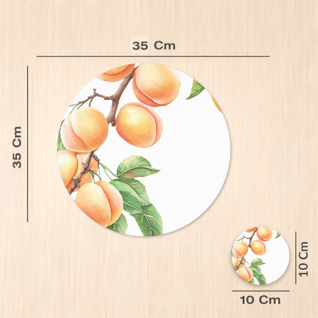 Ripe Orange Apricot Fruit Branch Charger Plate Set  12 Pieces