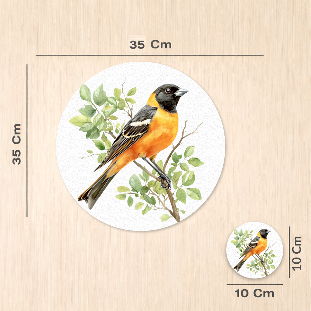 Baltimore Oriole on Branch 