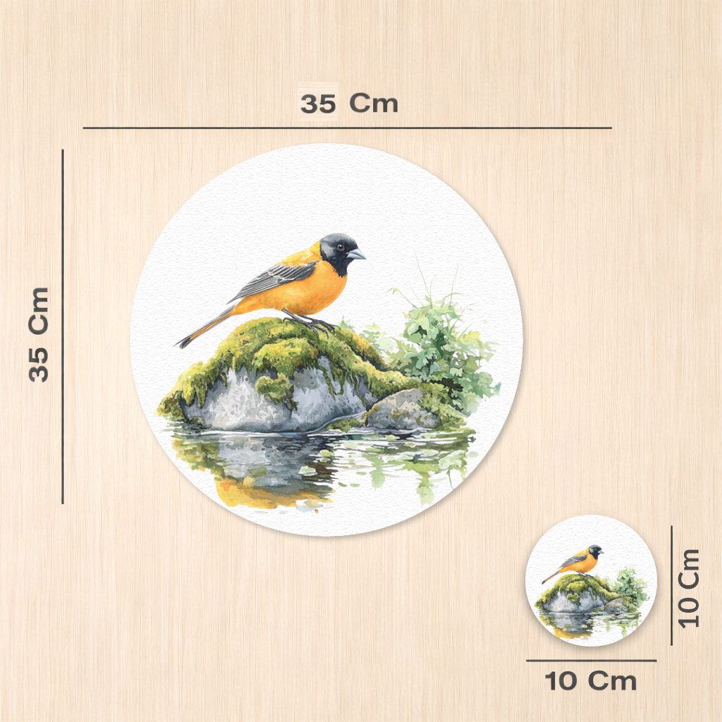 Orange Baltimore Oriole Bird Charger Plate Set  12 Pieces