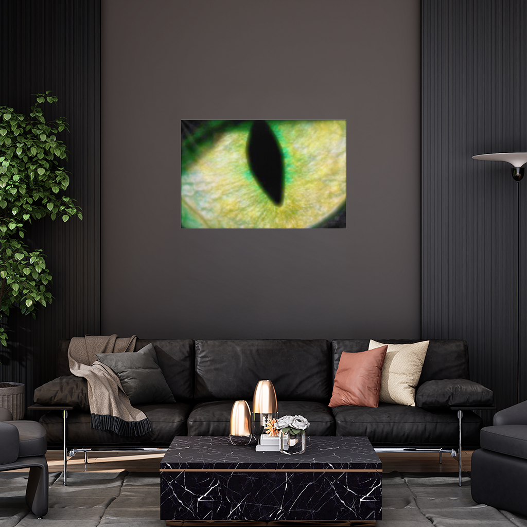 Panter gözü. Duvar Örtüsü