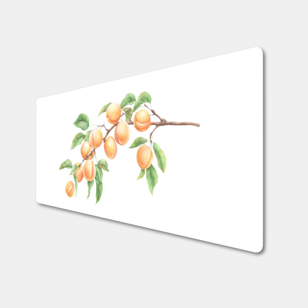 Ripe Orange Apricot Fruit Branch Mouse Pad